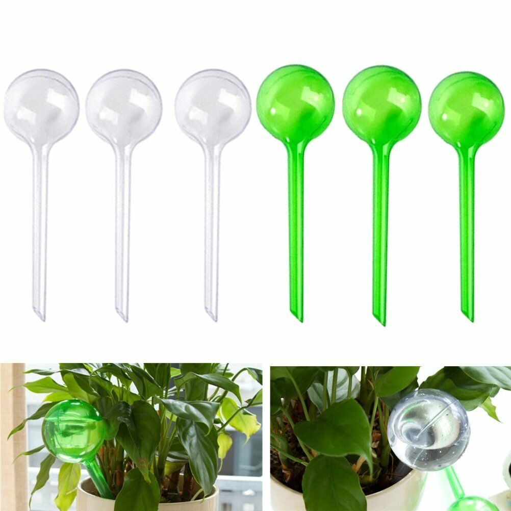 6pcs Automatic Watering Globes Plant Self Watering Bulb For Plant Houseplant