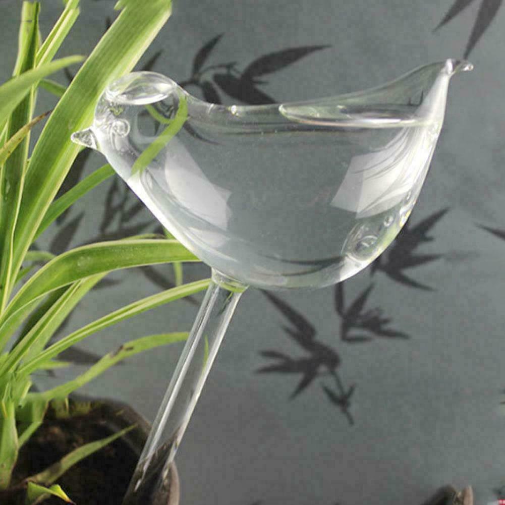 Self Watering Globe Plant Water Bulbs Hand Blown Transparent Glass C5d9